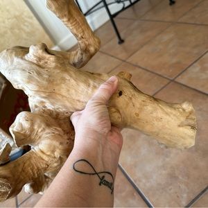 Drift wood for terrarium